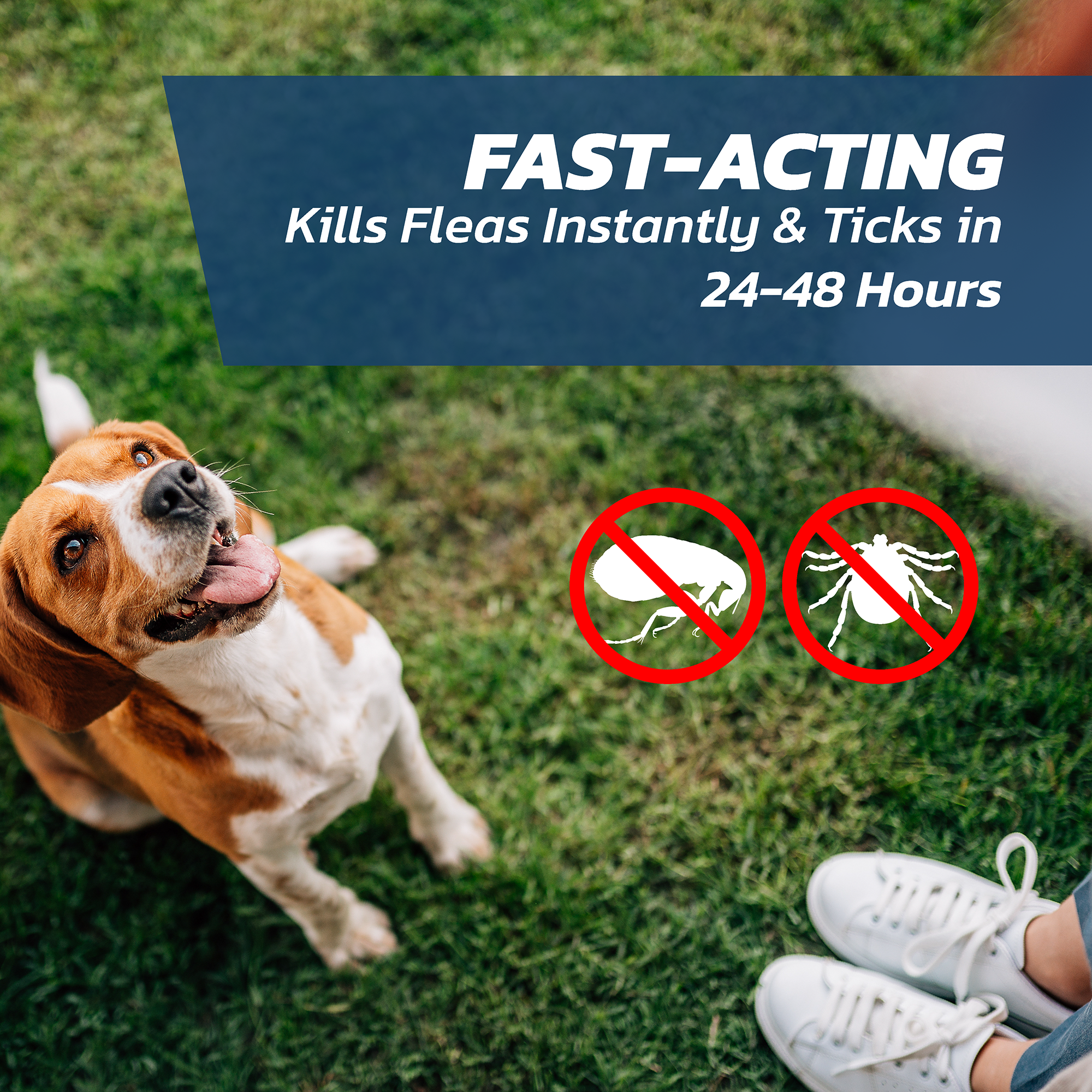 Fleasolve Spot-On<br>Small Dog<br>2kg-10kg - Image 7