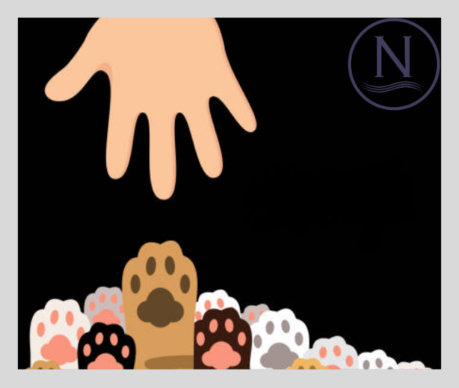 Image asking for animal charity support