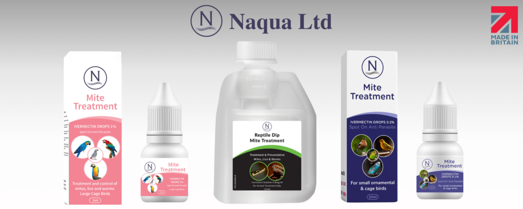 Ivermectin treatments for "what are red mites" blog